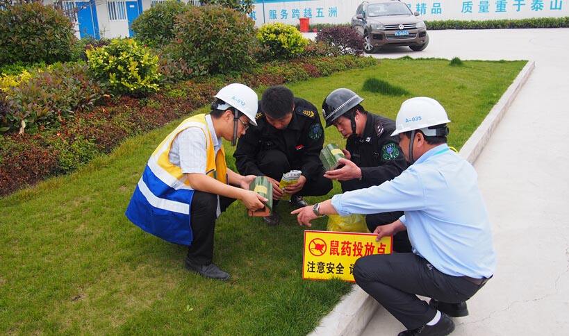 為什么慢性滅鼠藥要比急性滅鼠藥好？