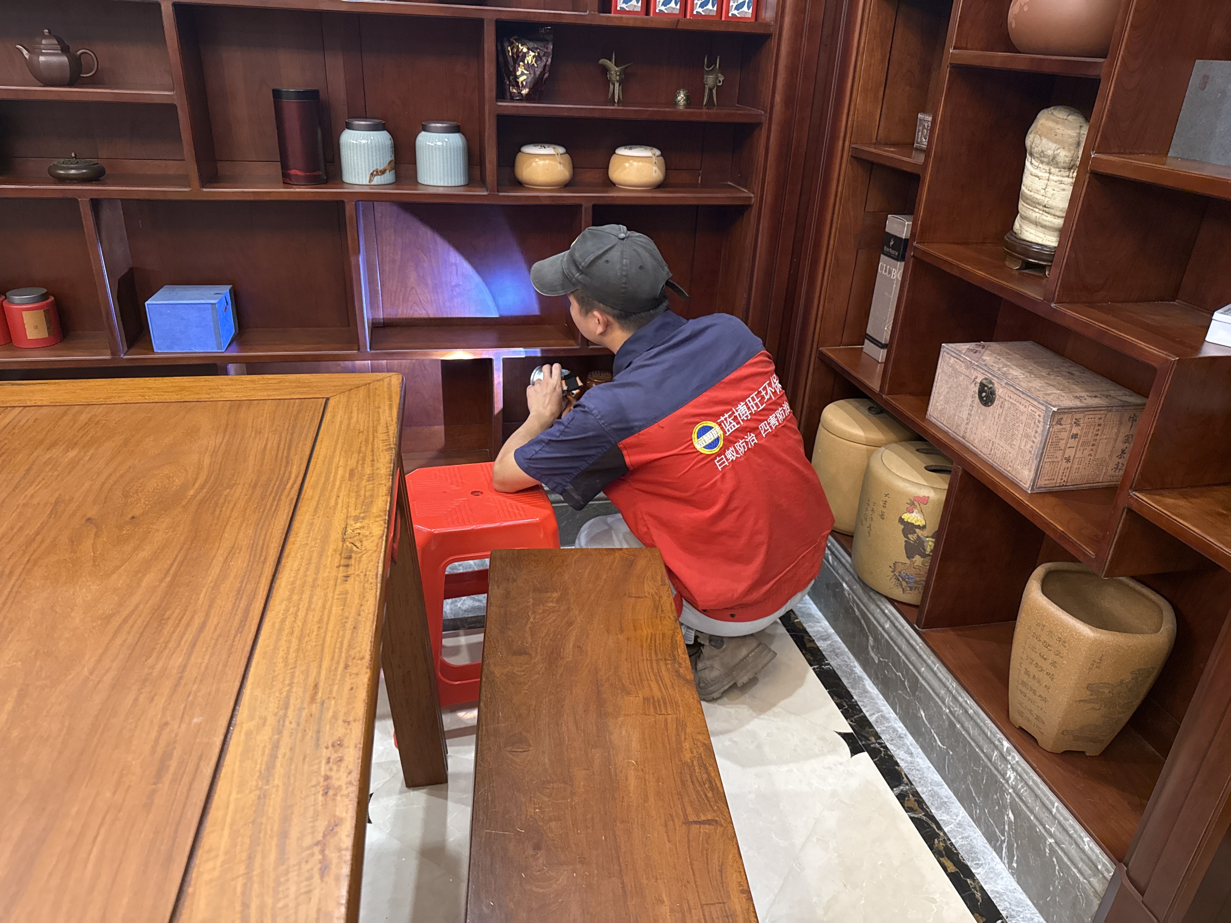 老鼠為什么總愛(ài)打洞？